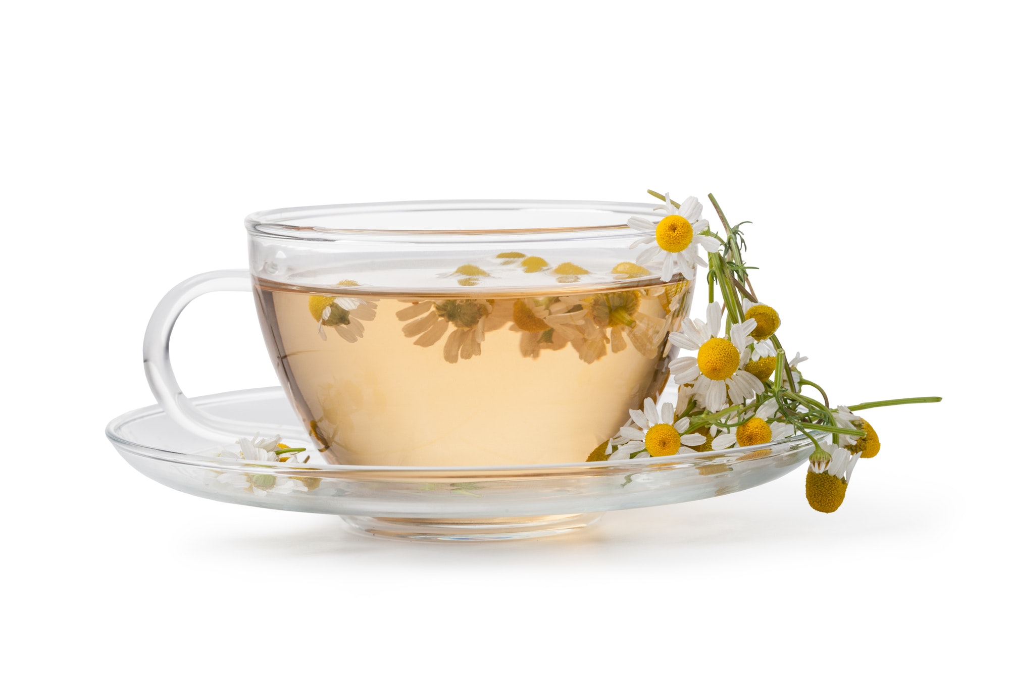 Cup of medicinal chamomile tea